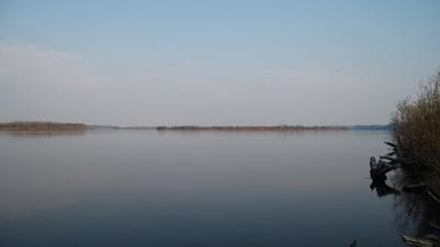 img_0267.jpg